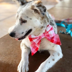 K&ouml;nnte beinhalten: Ein wei&szlig;-brauner gefleckter Hund mit einer rosa-wei&szlig;en karierten Schleife. Der Hund liegt auf einer braunen Oberfl&auml;che.
