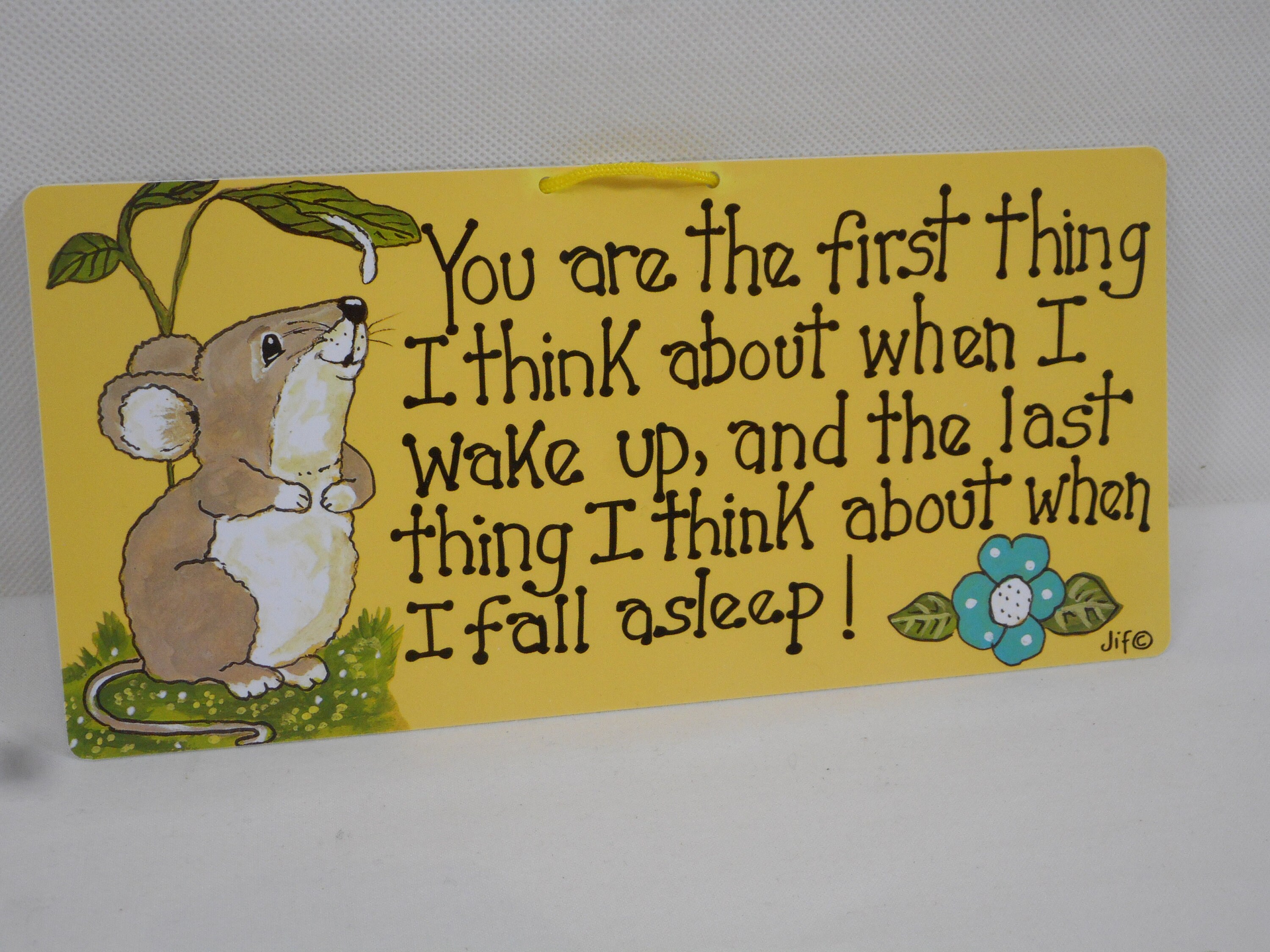 Superbe Mur de Nouveauté/Porte Suspendue Plaque en Plastique Imprimé Signe Cadeau