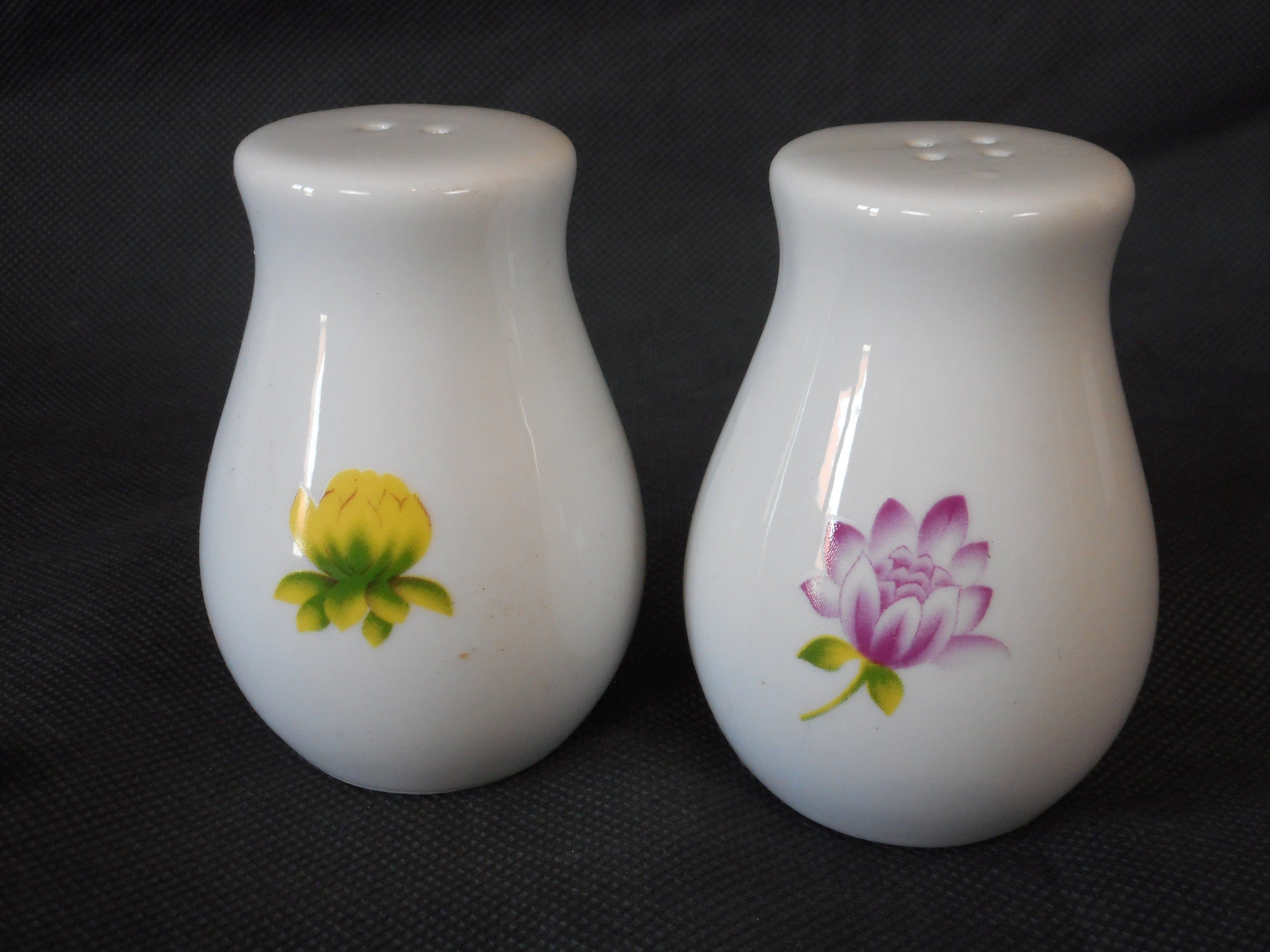 Pots Décoratifs de Sel et Poivre Français Porcelaine Vintage