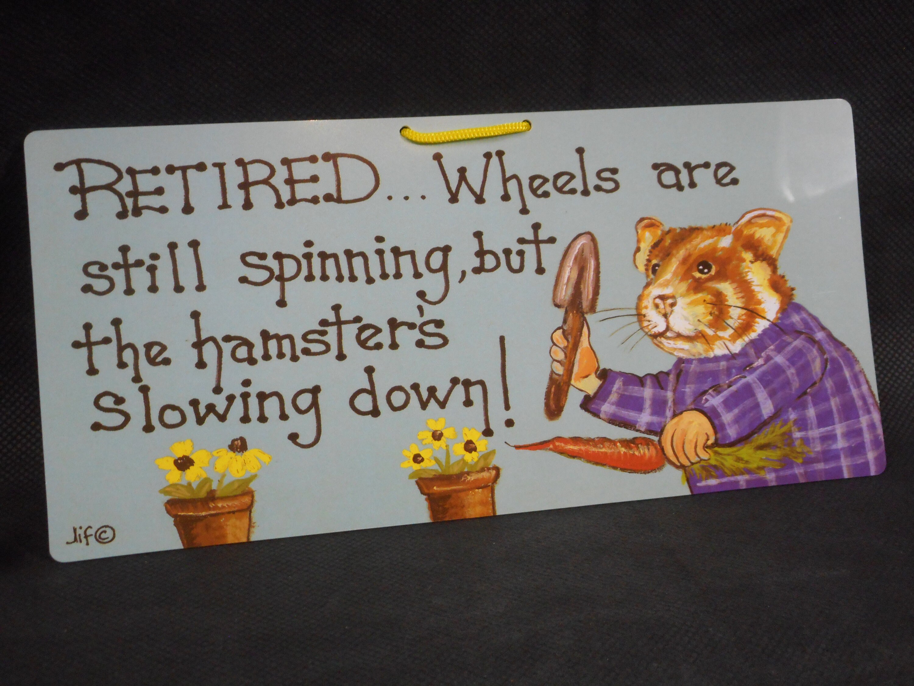 Superbe Mur de Nouveauté/Porte Suspendue Plaque en Plastique Imprimé Signe Cadeau