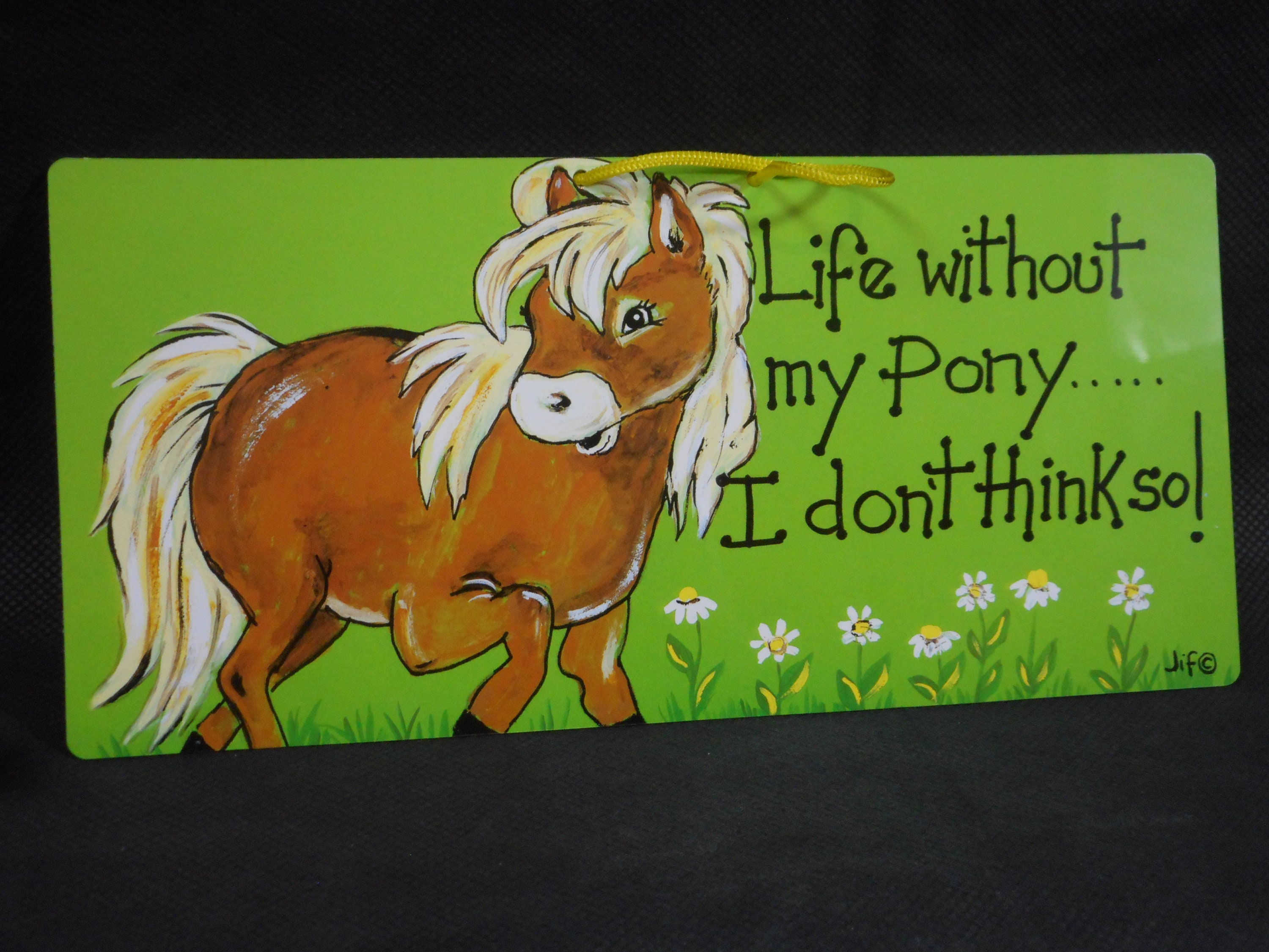 Superbe Mur de Nouveauté/Porte Suspendue Plaque en Plastique Imprimé Signe Cadeau