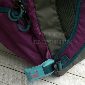 Op de afbeelding: Paarse en groene rugzak met een turquoise rits en een turquoise bagagelabel met de letter "J" geborduurd in roze.