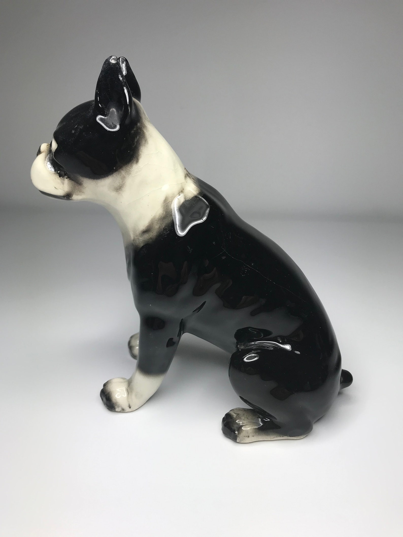 adorable seated boston terrier puppy collectible figurine