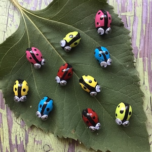 Ten Miniature ladybug magnets | hand painted | refrigerator magnets | plant pals. | fairy Garden