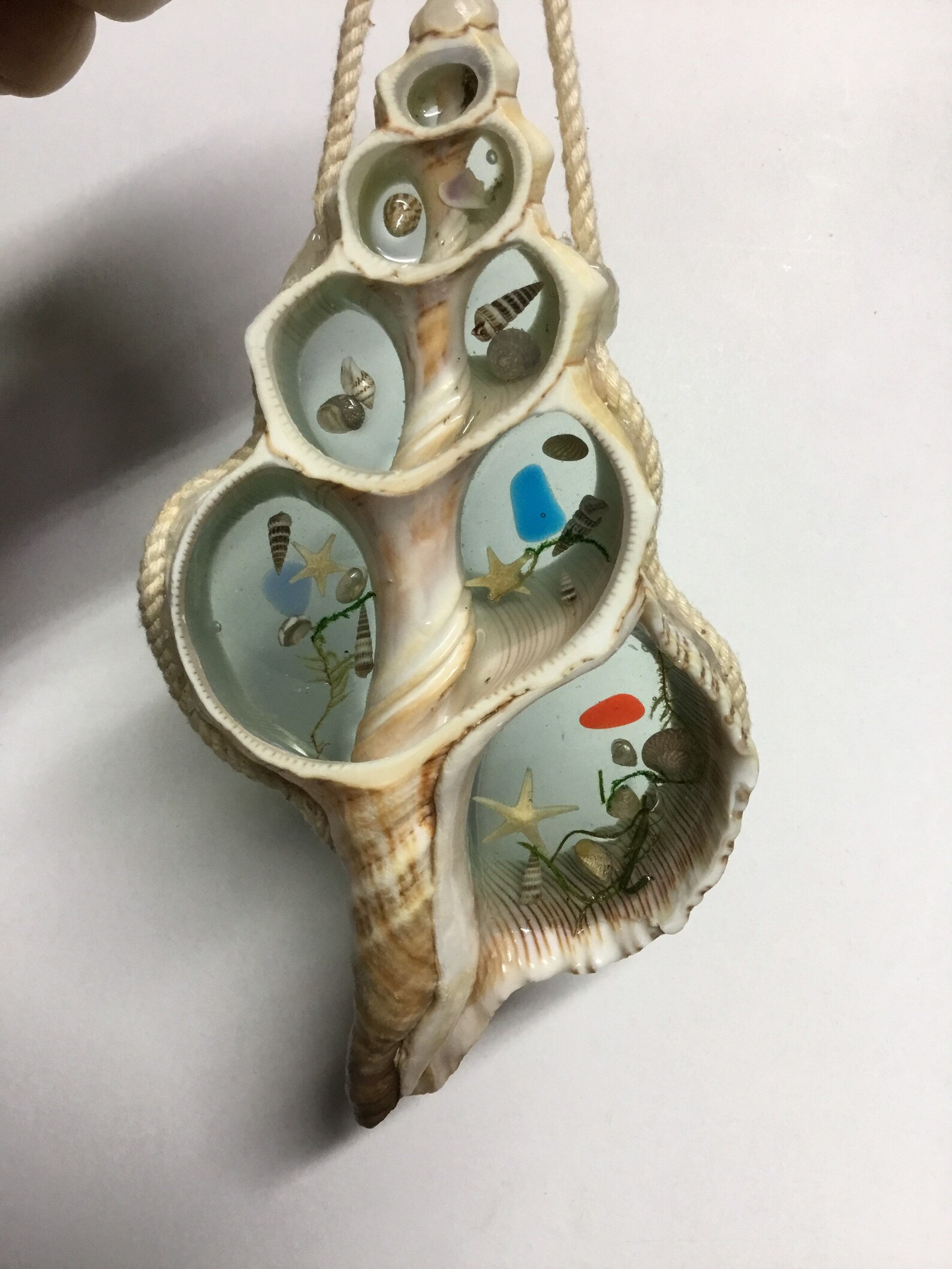 Large Cut Shell With Resin and Seashells Hanging Wall Art Etsy UK