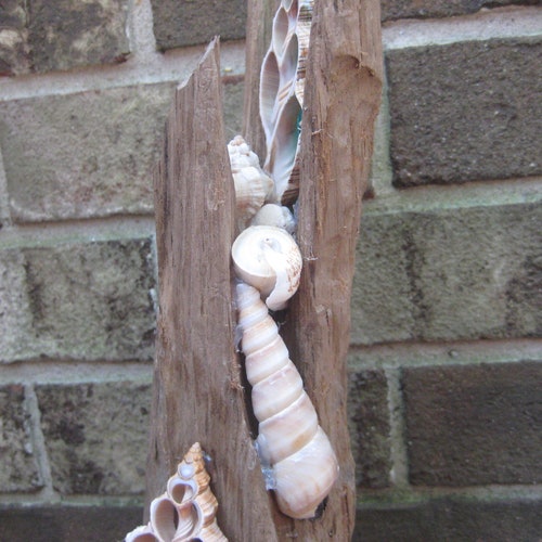 Stained glass shops seashell driftwood art sculpture OOAK handmade