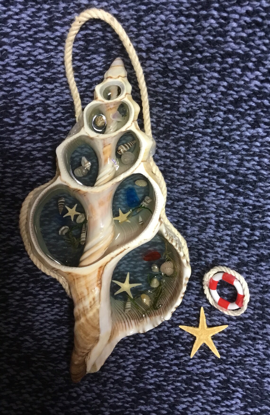 Large Cut Shell With Resin and Seashells Hanging Wall Art Etsy UK