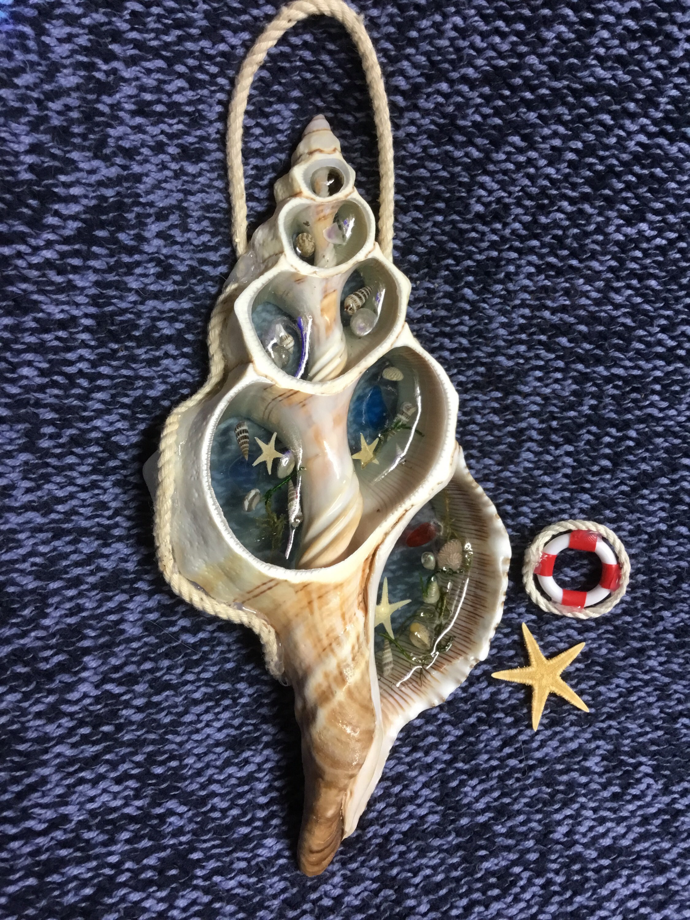 Large Cut Shell With Resin and Seashells Hanging Wall Art - Etsy UK