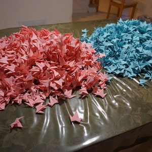 Gender Reveal - Garçon Bleu ou Fille Rose - 1000 Grues De Couleur Origami!