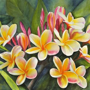 Rainbow Plumeria Painting 12x16 Art Print