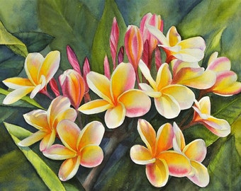 Rainbow Plumeria Painting 12x16 Art Print