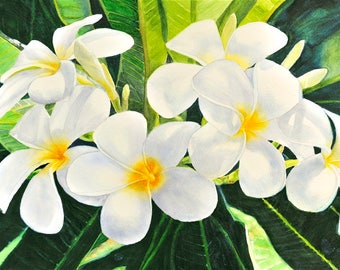 May include: Watercolor painting of white plumeria flowers with yellow centers, set against a backdrop of green leaves. The flowers have five petals and are in full bloom, showcasing their delicate beauty.