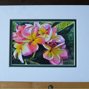 May include: A watercolor painting of pink and yellow plumeria flowers with green leaves. The flowers are in bloom and have a delicate, tropical feel. The painting is signed "Minickley".