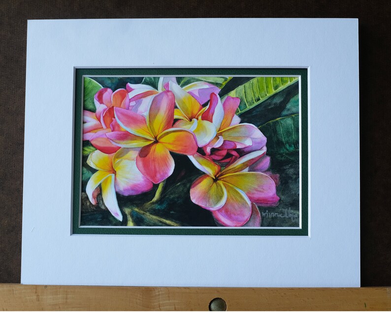 May include: A watercolor painting of pink and yellow plumeria flowers with green leaves. The flowers are in bloom and have a delicate, tropical feel. The painting is signed "Minickley".