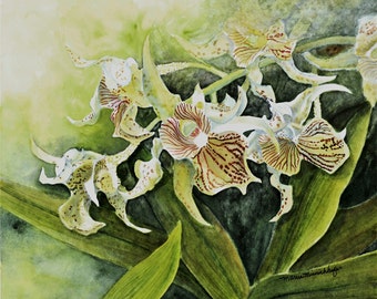 Orchid Painting Matted Art Print