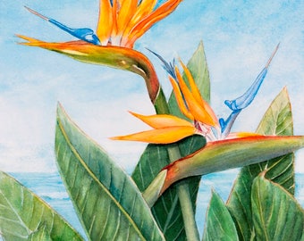 Vertical Bird of Paradise Painting Matted Art Print