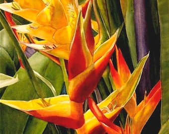 Vertical Heliconia Painting Matted Art Print