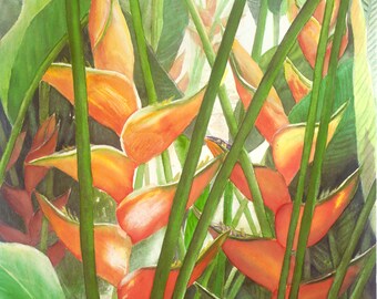 Heliconia Tropical Painting Matted Art Print