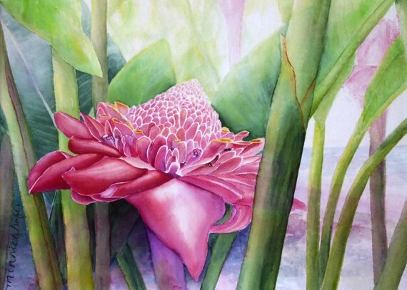 Kauai Ginger Tropical Flower Hawaii Painting Art Print | Etsy