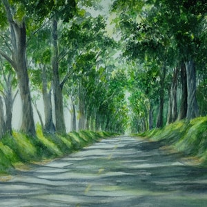 May include: A watercolor painting of a long, winding road lined with trees. The road is paved and has a yellow line down the center. The trees are green and lush, and their shadows fall across the road. The painting is done in a realistic style and captures the beauty of a summer day.