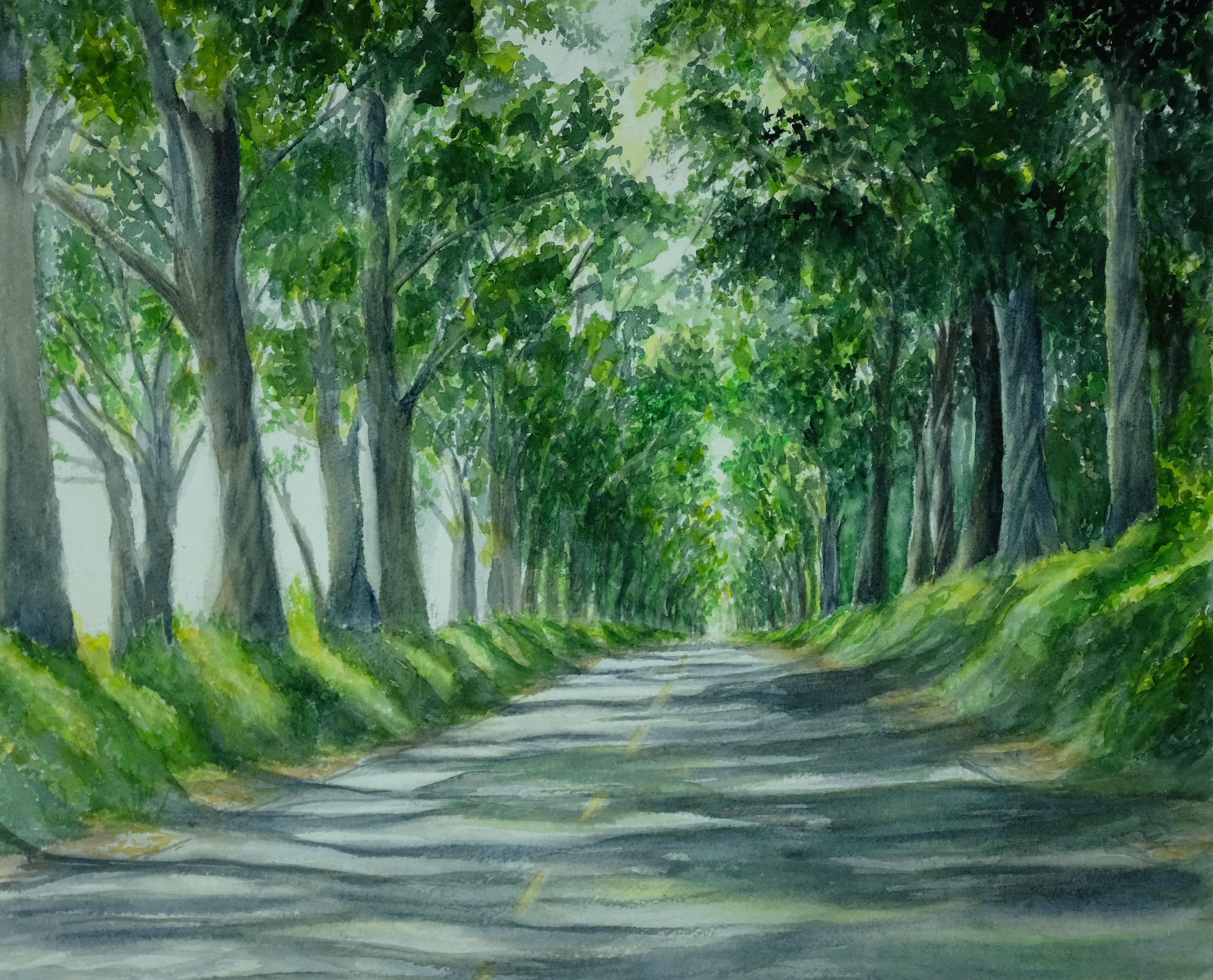 Kauai Tree Tunnel Painting Matted Art Print Etsy UK