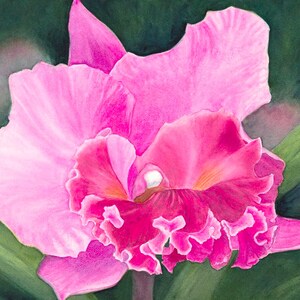 Orchid Painting Matted Art Print