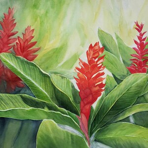 Red Ginger 18 x 24 Hawaii Art Print