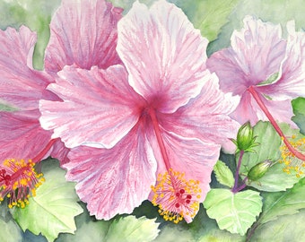 Hibiscus Painting Matted Art Print