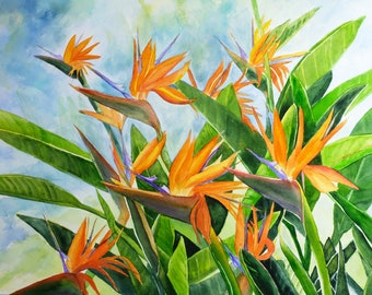 Bird of Paradise Painting 5x7 Matted Art Print