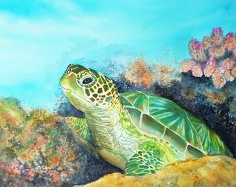 Sea Turtle Honu Painting Matted Art Print