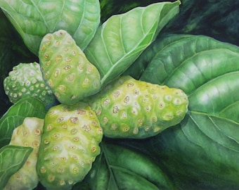 Noni Painting Matted Art Print