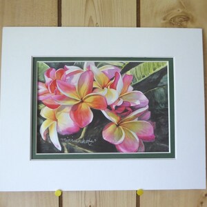May include: A framed watercolor painting of pink and white plumeria flowers with green leaves. The artist's signature, "minnichoff", is visible in the bottom right corner.