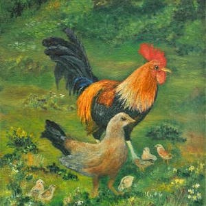 May include: A rooster with a red comb and a brown, black, and white patterned body stands in a grassy field with a smaller bird. The rooster is looking to the right and the smaller bird is looking to the left. There are several other small birds in the background.