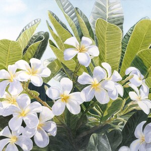 May include: A watercolor painting of white plumeria flowers with yellow centers, blooming on a branch with green leaves. The flowers are arranged in a cluster, with some facing the viewer and others facing away. The leaves are a vibrant green, and the background is a soft blue.