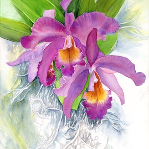 Vertical Orchids at Jani's 24x18" Art Print