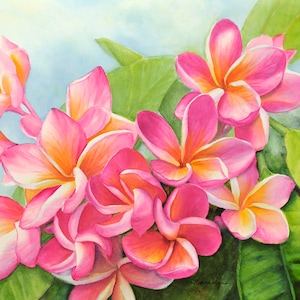 Pink Plumeria Painting Matted Art Print
