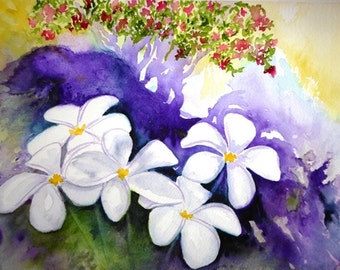 Plumeria Painting Matted Art Print