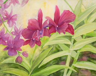 Orchids at Kiahuna 18x24 Hawaii Art Print