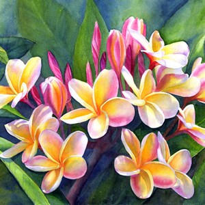 Rainbow Plumeria Painting Matted Art Print