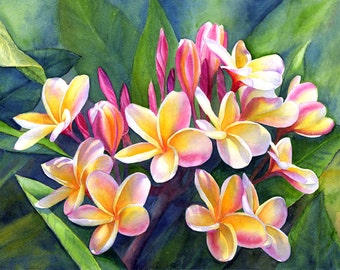 Rainbow Plumeria Painting Matted Art Print