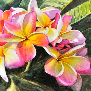 May include: A watercolor painting of pink and yellow plumeria flowers with green leaves in the background.