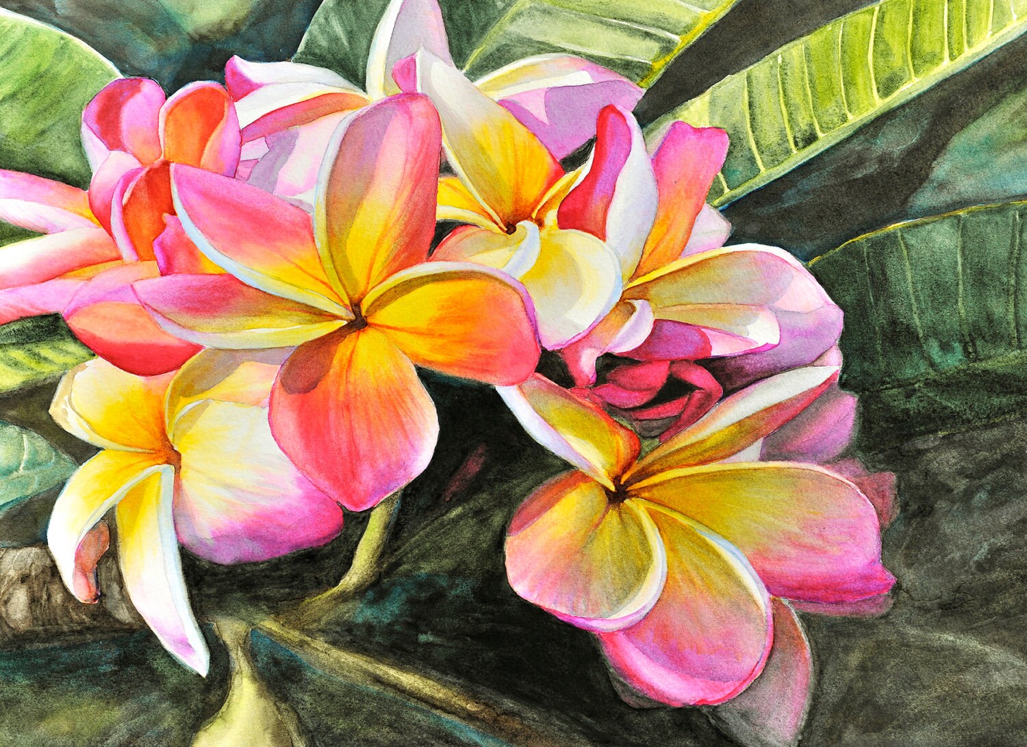 Lei Rainbow Plumeria 8 x 11 Kauai Hawaii Art & Collectibles Prints