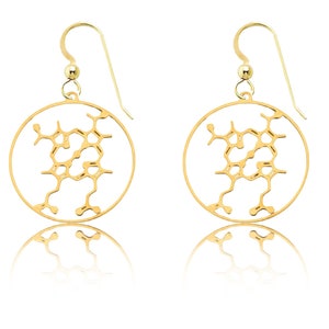 Heme molecule earrings, biochemistry earrings, science-themed earrings, molecular jewelry, chemistry earrings, biology jewelry