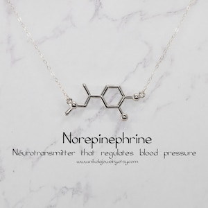 Norepinephrine Molecule Necklace: Sterling Silver Geek Jewelry