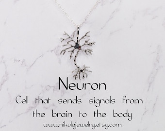 Collar Neuron: Joyería científica de plata de ley, regalo de biología