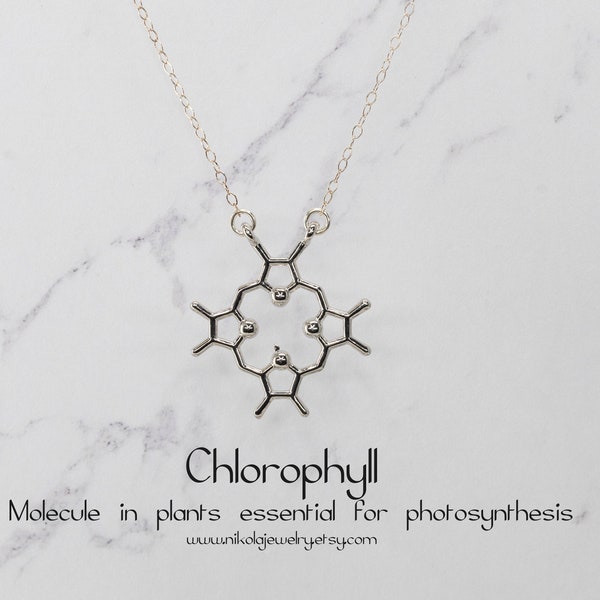 Silver Chlorophyll Molecule Necklace, Science Jewelry, Plant Necklace, Sterling Silver Chain, Plant Jewelry,  Botany, Botany Research