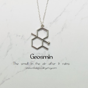 Geosmin Molecule Necklace: Silver Petrichor Rain Scent Pendant