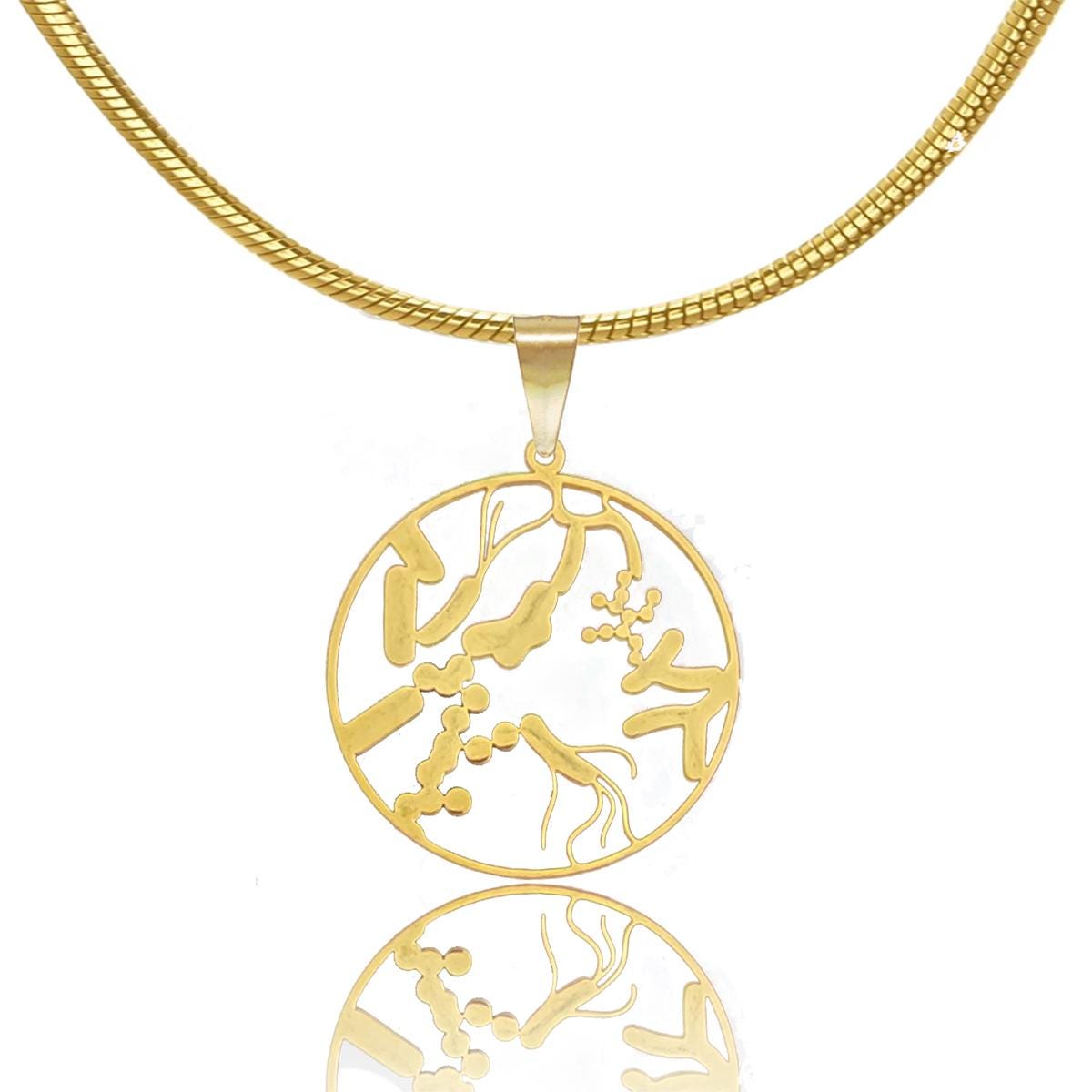 Microbiome Necklace in Gold or Silver, Bacteria Necklace, Gut Pendant, Gastroenterologists Gift, Microbes, Biology Jewelry
