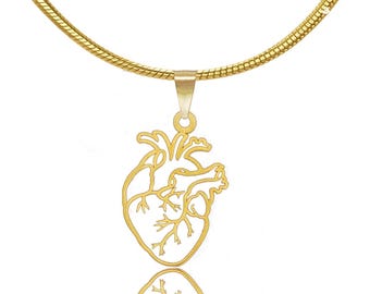 Anatomic Heart Necklace: Gold or Silver Silhouette, Cardiology Gift