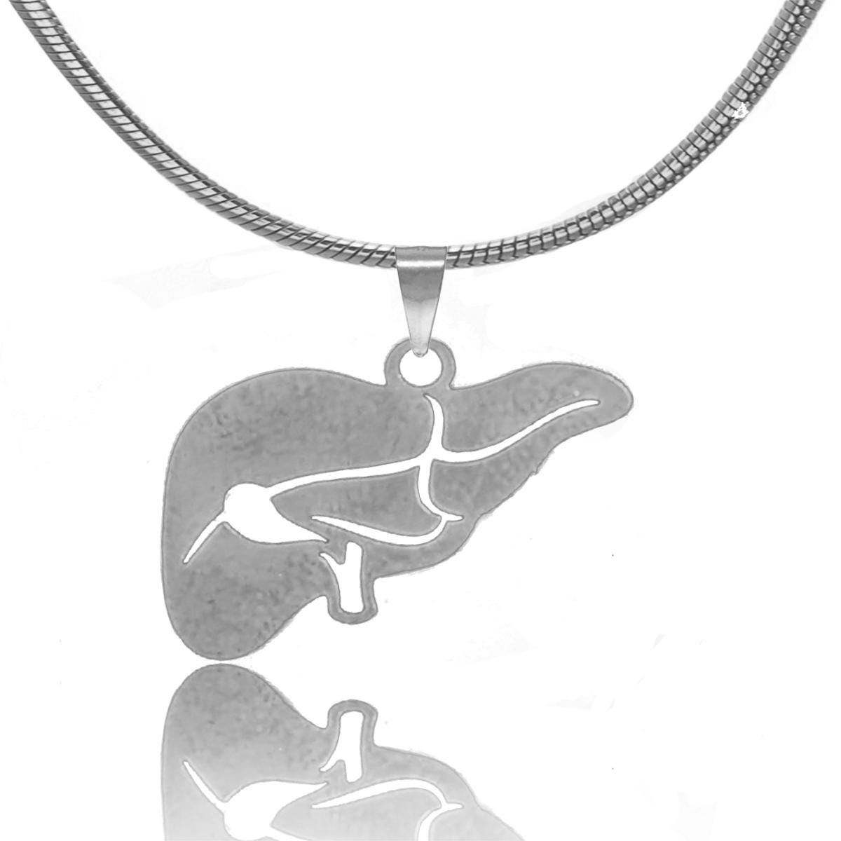 Liver Necklace in Gold or Silver, Liver Disease Necklace